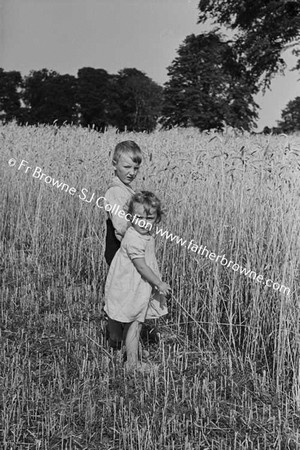 MACEVOY CHILDREN IN CORNFIELD